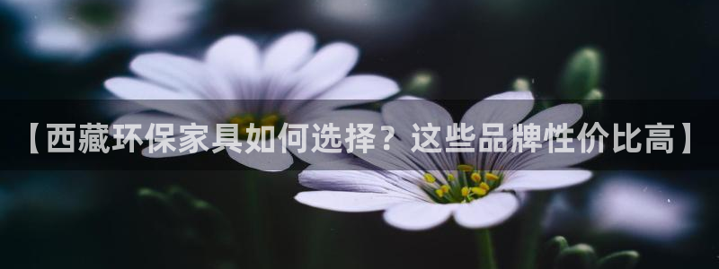 杏耀登入测速
