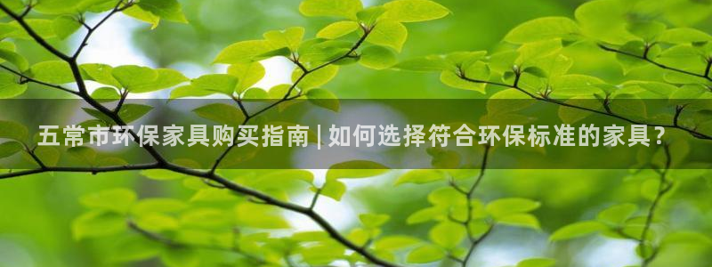 杏耀平台招商的流程