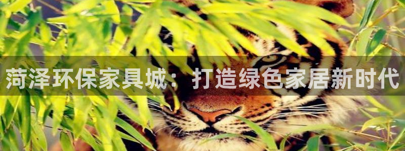 杏耀官方娱乐