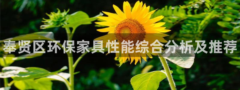 杏耀app怎样申请：奉贤区环保家具性能综合分析及推荐