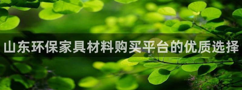 杏耀平台登陆官网：山东环保家具材料购买平台的优质选择