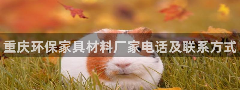 杏耀平台官方登陆