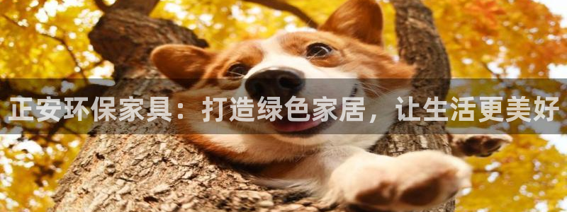 杏耀平台已7O777