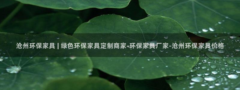 杏耀3代理