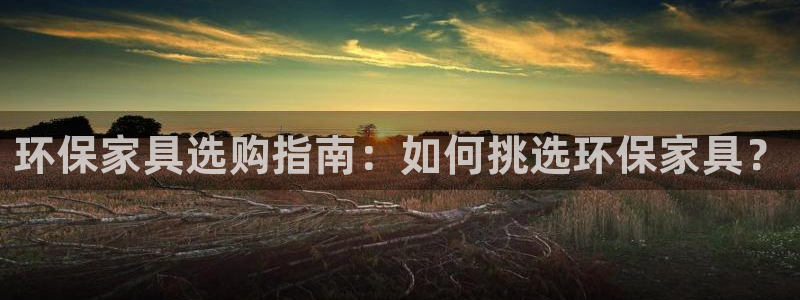 杏耀平台代理