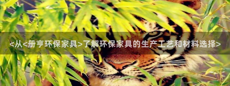 杏耀平台的专用通道