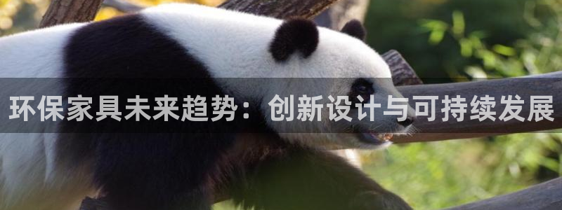 杏耀平台服务中心怎么样