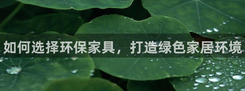 杏耀平台注册地址