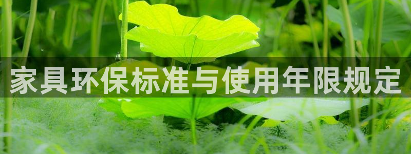 杏耀开户app下载