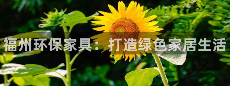 杏耀平台测速地址