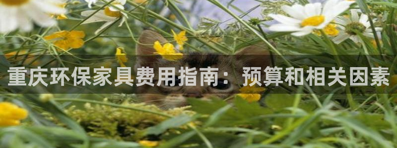 杏耀注册登录代理