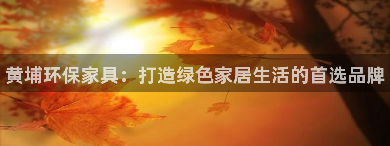 杏耀平台黑款