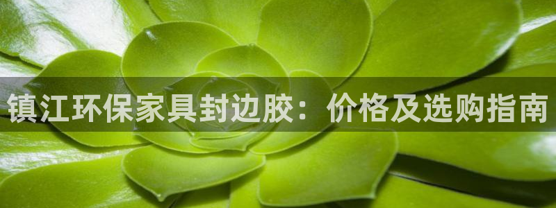 杏耀平台登录检测