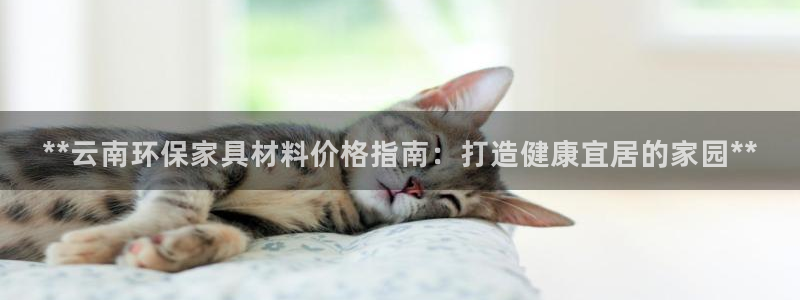 杏耀平台线路测速登录