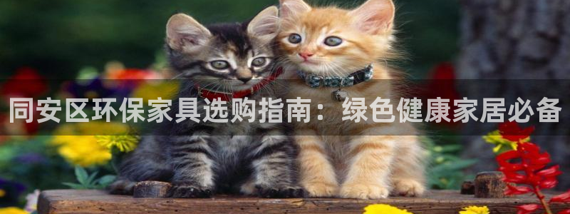 杏耀官网网站中心