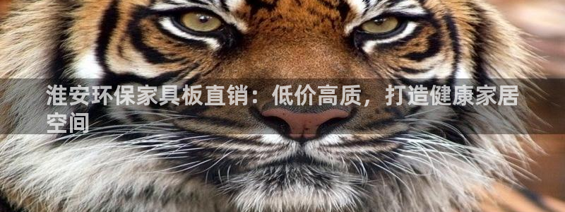 杏耀代理主管qq