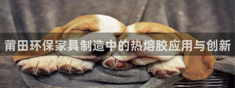 杏耀官网娱乐