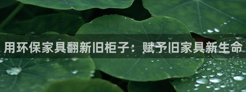 杏耀官网主管