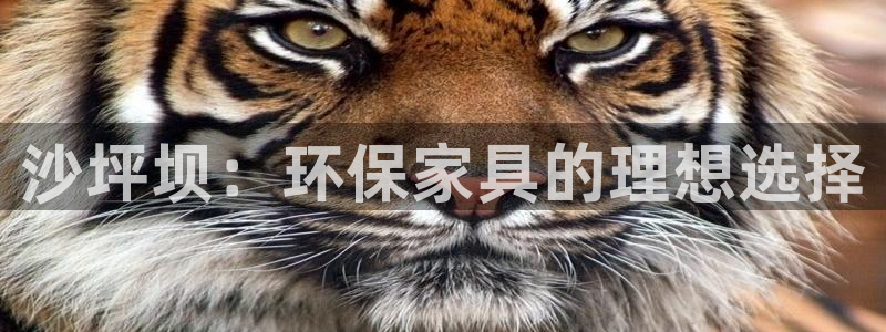 杏耀3代理