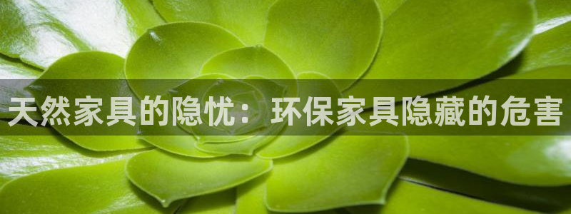 杏耀平台官方登陆