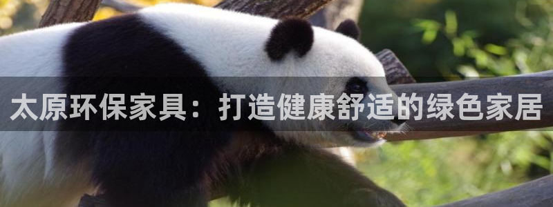杏耀平台网站是什么