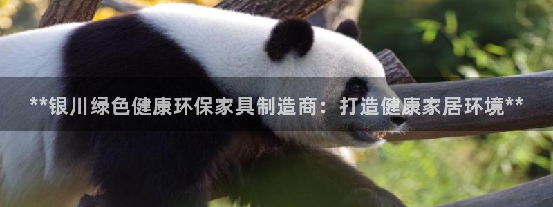 杏耀平台的专用通道