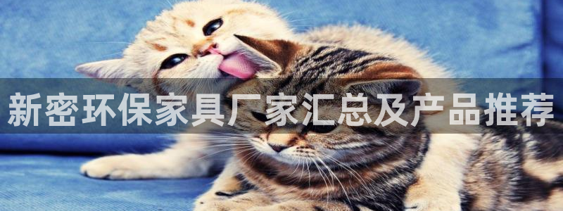 杏耀平台黑款