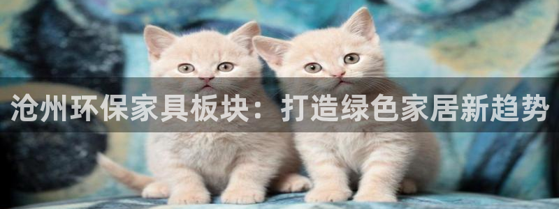 杏耀平台代理怎么赚钱快
