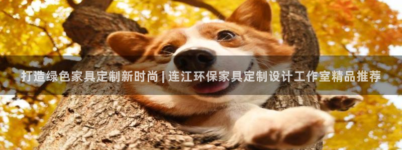 杏耀平台手机下载