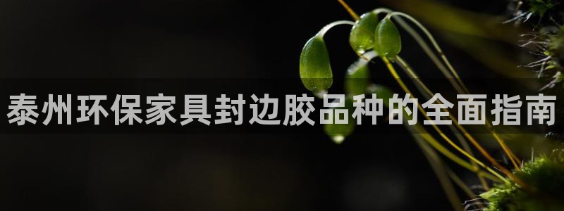 杏耀代理主管qq