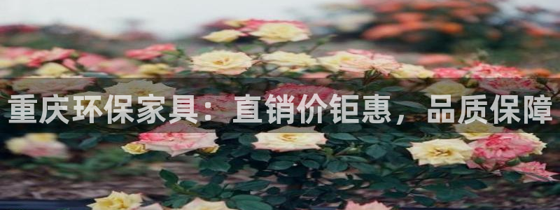 杏耀平台测速地址