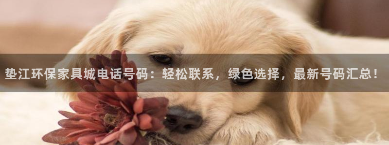 杏耀平台官网下载：垫江环保家具城电话号码：轻松联系，绿色选择