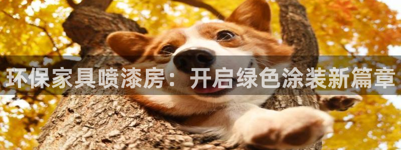 杏耀平台服务中心怎么样