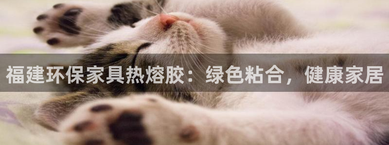 杏耀平台在哪里