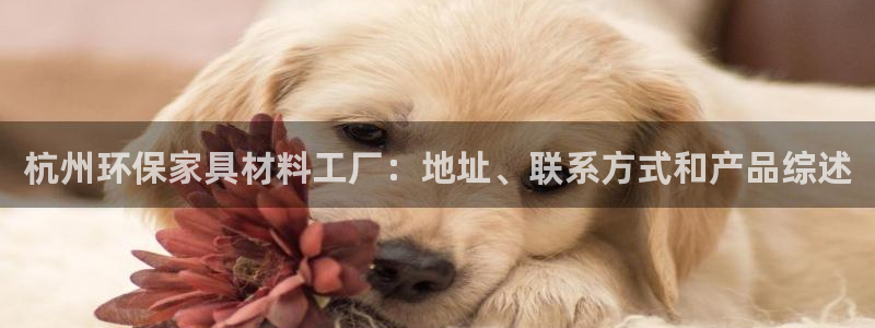杏耀平台代理怎么赚钱的：杭州环保家具材料工厂：地址、联系方式