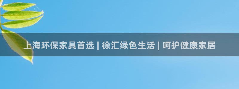 杏耀代理1980：上海环保家具首选 | 徐汇绿色生活 | 呵