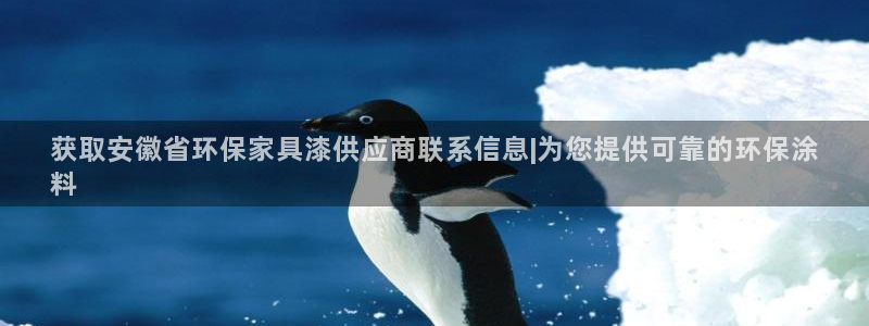 杏耀代理日工资多少
