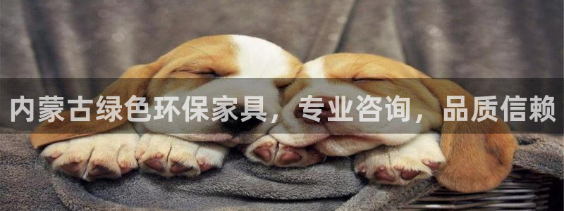 杏耀官方娱乐