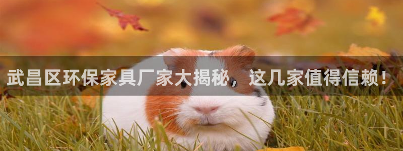 杏耀官网网站