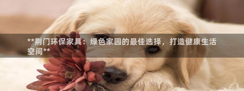 杏耀平台登陆测速