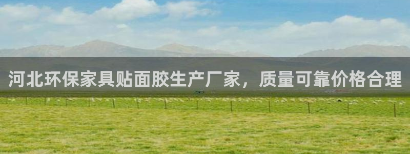 杏耀平台怎么样：河北环保家具贴面胶生产厂家，质量可靠价格合理