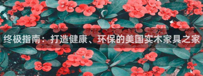 杏耀平台代理登录网址是什么：终极指南：打造健康、环保的美国实