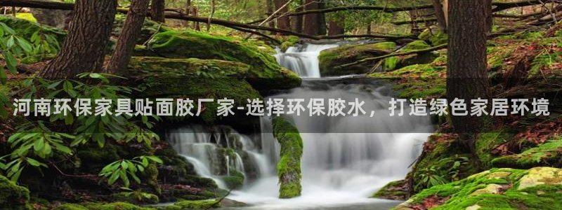 杏耀平台代理注册多少钱：河南环保家具贴面胶厂家-选择环保胶水
