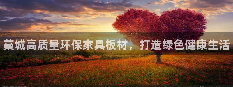 杏耀注册开户：藁城高质量环保家具板材，打造绿色健康生活