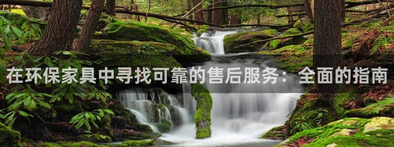 杏耀登入官网：在环保家具中寻找可靠的售后服务：全面的指南