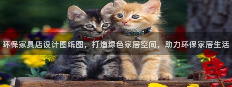 杏耀注册登录中心：环保家具店设计图纸图，打造绿色家居空间，助