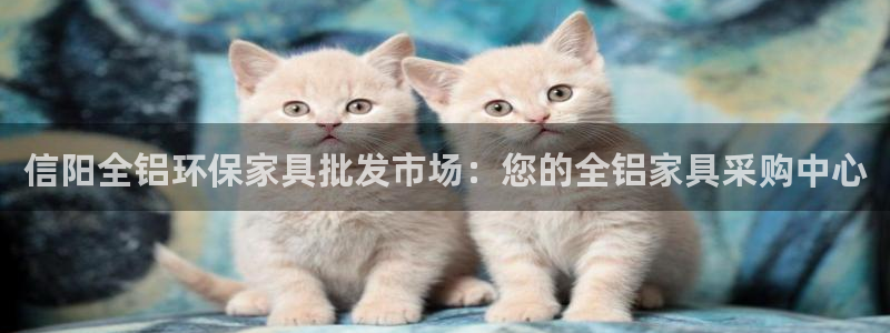 杏耀平台待遇：信阳全铝环保家具批发市场：您的全铝家具采购中心