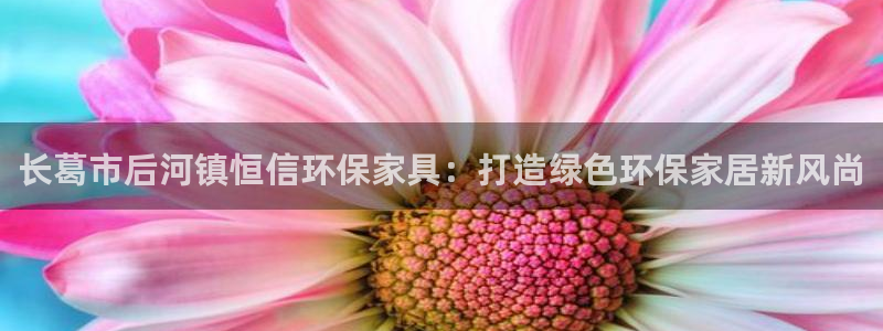 杏耀平台在哪里：长葛市后河镇恒信环保家具：打造绿色环保家居新