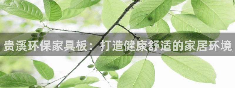 杏耀平台官方登录：贵溪环保家具板：打造健康舒适的家居环境