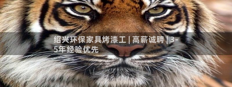 杏耀平台登陆官网
